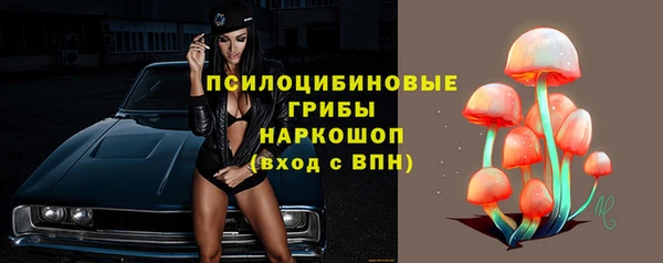 трава Верея