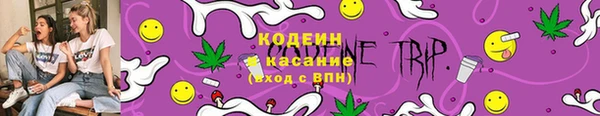 ГАЛЛЮЦИНОГЕННЫЕ ГРИБЫ Няндома