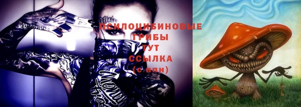 трава Верея
