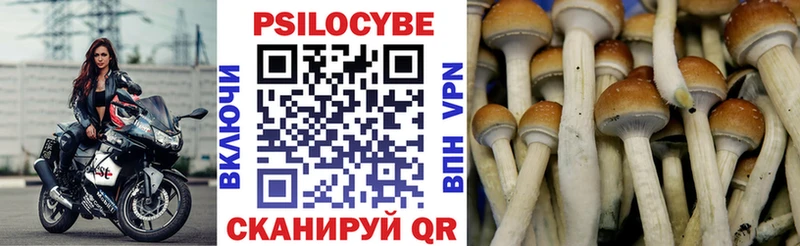 Псилоцибиновые грибы ЛСД Купить где Солнечногорск